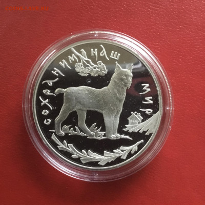 3 рубля 1995 года - Рысь. До 15.11.2019 в 22-00 МСК - 61055DA9-E947-4FF3-B0FE-9A7D7532E2E1