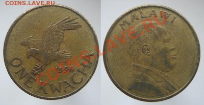 Малави 1 квача 1996 ОРЕЛ ПТИЦА ФАУНА ЖИВОТНЫЕ - 49 руб. - Малави 1 квача