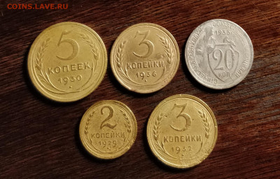 5 брачков ранних советов-2-3-3-5-20к-29-36-до 14 11 19 22 30 - IMG_20191109_214032_cr