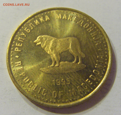 1 денар 1995 ФАО Македония №1 16.11.2019 22:00 МСК - CIMG7120.JPG