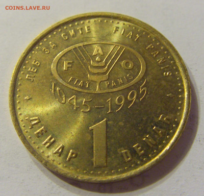 1 денар 1995 ФАО Македония №1 16.11.2019 22:00 МСК - CIMG7117.JPG