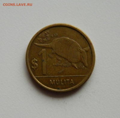 Уругвай 1 песо 2012 г. (Фауна). до 14.11.19 - DSCN0022.JPG