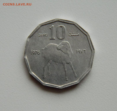 Сомали 10 центов 1976 года (Фауна)без оборота. до 14.11.2019 - DSCN0024.JPG