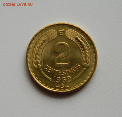 Чили 2 сентесимо 1969 г. (Фауна)без оборота. до 14.11.19 - DSCN0026.JPG