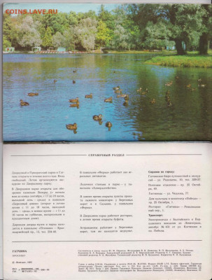 Проспект ГАТЧИНА 1985 г. до 17.11.19 г. в 23.00 - 007