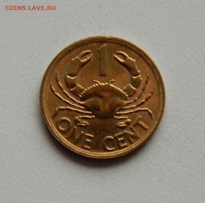 Сейшелы 1 цент 2012 года (Фауна)без оборота. до 14.11.2019 - DSCN0063.JPG