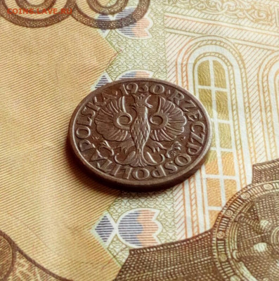 Польша. Редкий 1 грош 1930 в сохране до 14.11.2019 в 22-00 - IMG_20190310_161715