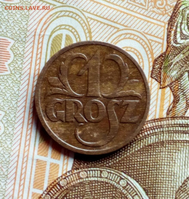 Польша. Редкий 1 грош 1930 в сохране до 14.11.2019 в 22-00 - IMG_20190310_161545