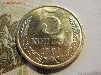 5 копеек 1981 года МЕШКОВЫЕ БЕЗ ОБРАЩЕНИЯ до 14.11.19г - P1050085.JPG