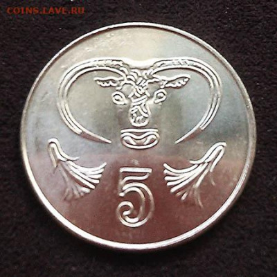 Кипр 5 центов 2004 - Кипр_5центов-2004_au_Р