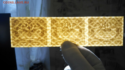 20 рублей 1917 года Временное правительство,сцепка 3 штуки - IMG_20191112_150443_HDR