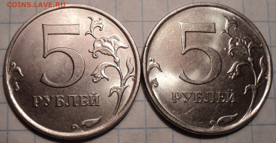 РАЗНОВИДНОСТИ  от  СЛФ - DSC00540.JPG