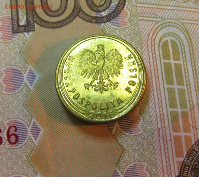 С 1 РУБ       ПОЛЬША 1 грош 2016 г        до 18.11 - IMG_6720.JPG