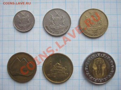 ЭКЗОТИКА!!! МНОГО ВСЯКОЙ РАЗНОЙ!!! ПОСТОЯННОЕ ПОПОЛНЕНИЕ !!! - IMG_2581.JPG