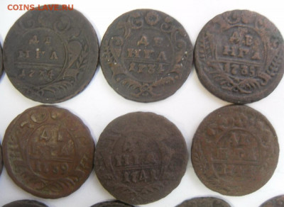 денги 1731-51 гг. (13 шт.) любителям разновидностей - SAM_1660.JPG