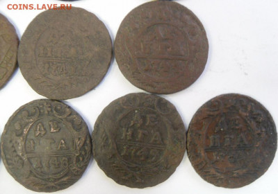 денги 1731-51 гг. (13 шт.) любителям разновидностей - SAM_1662.JPG