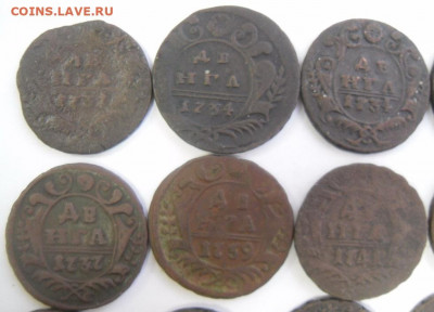 денги 1731-51 гг. (13 шт.) любителям разновидностей - SAM_1664.JPG