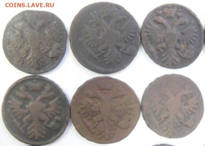 денги 1731-51 гг. (13 шт.) любителям разновидностей - SAM_1668.JPG
