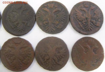 денги 1731-51 гг. (13 шт.) любителям разновидностей - SAM_1669.JPG