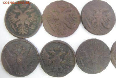 денги 1731-51 гг. (13 шт.) любителям разновидностей - SAM_1672.JPG