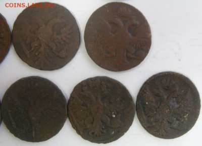 денги 1731-51 гг. (13 шт.) любителям разновидностей - SAM_1673.JPG