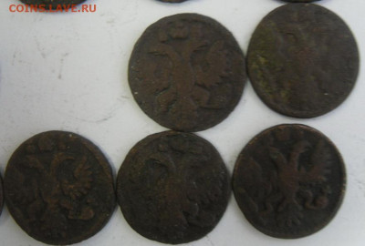 полушки 1731-36 гг. (11 шт.) любителям разновидностей - SAM_1703.JPG