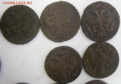 полушки 1731-36 гг. (11 шт.) любителям разновидностей - SAM_1696.JPG