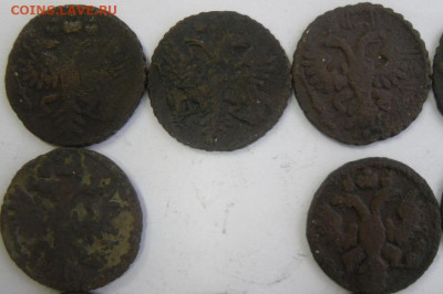 полушки 1731-36 гг. (11 шт.) любителям разновидностей - SAM_1694.JPG