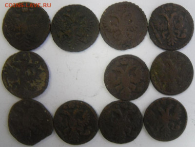 полушки 1731-36 гг. (11 шт.) любителям разновидностей - SAM_1692.JPG