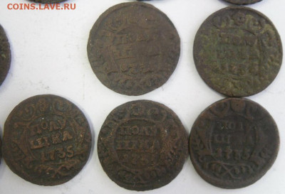 полушки 1731-36 гг. (11 шт.) любителям разновидностей - SAM_1689.JPG