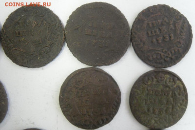 полушки 1731-36 гг. (11 шт.) любителям разновидностей - SAM_1684.JPG