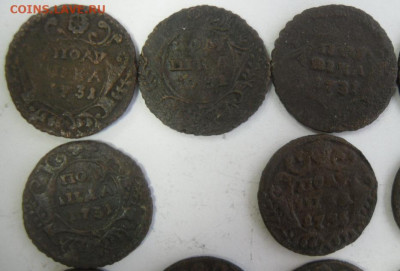 полушки 1731-36 гг. (11 шт.) любителям разновидностей - SAM_1681.JPG
