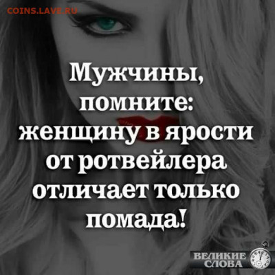 юмор - i (23)