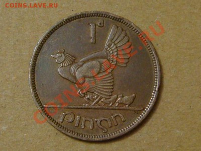 -v- Ирландия пенни 1946г Курица до 4.08(21.00) - DSC03484.JPG