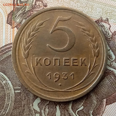 5 копеек 1931. До 17.11.19 в 22.00 - 20191113_095349
