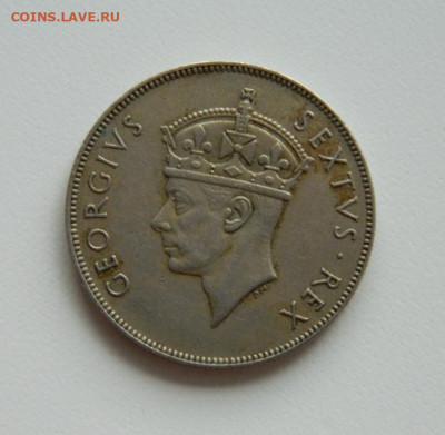 Британская Восточная Африка 1 шиллинг 1950 г. до 19.11.19 - DSCN9929.JPG
