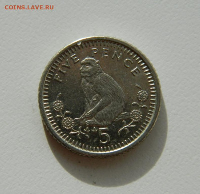 Гибралтар 5 пенсов 1991 года (Фауна). до 19.11.2019 - DSCN9978.JPG
