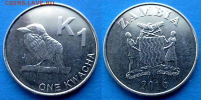 Замбия - 1 квача 2016 года (Фауна) до 18.11 - Замбия 1 квача, 2016