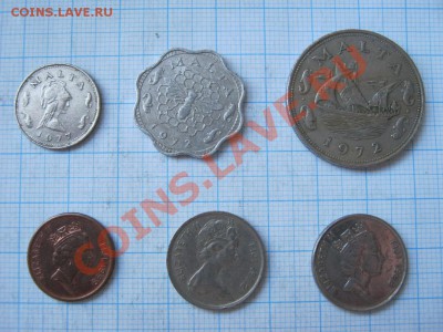 ЭКЗОТИКА!!! МНОГО ВСЯКОЙ РАЗНОЙ!!! ПОСТОЯННОЕ ПОПОЛНЕНИЕ !!! - 54-59-2.JPG