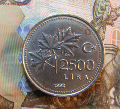 ТУРЦИЯ 2500 лир 1992 г   до 18.11 - IMG_5088.JPG