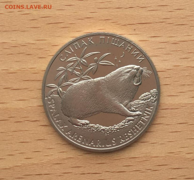 Украина 2 гривны 2005 Песчаный слепыш - Флора и фауна - ukraina_2_grivny_2005_peschanyj_slepysh_flora_i_fauna2