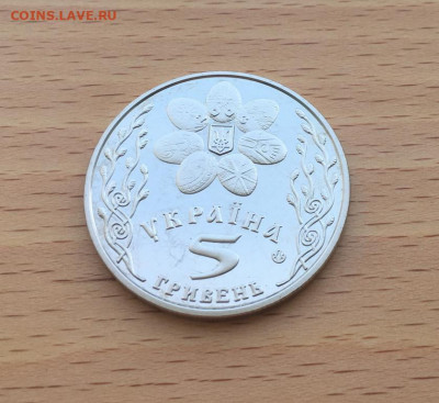 Украина 5 гривен 2003 Обрядовые праздники Украины - Пасха - ukraina_5_griven_2003_obrjadovye_prazdniki_ukrainy_paskha5