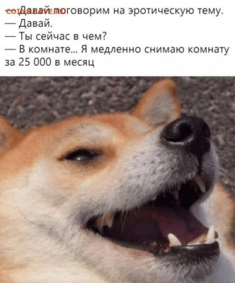 веселые картинки - 13659294