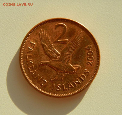 Фолклендские острова 2 пенса 2004 г. (Фауна). до 19.11.19 - DSCN9927.JPG