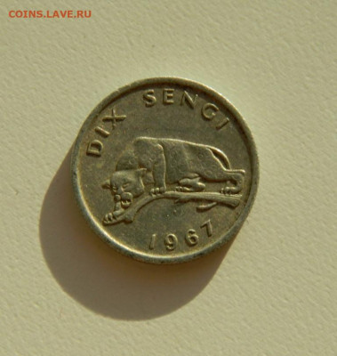 Конго 10 сенжи 1967 г. (Фауна). до 19.11.19 - DSCN9936.JPG
