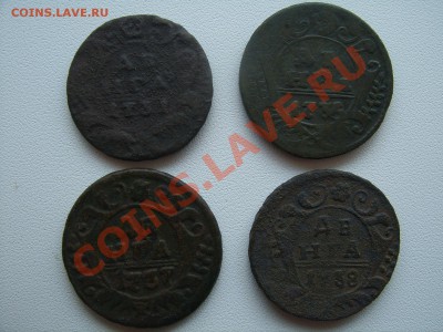 Денга(ошибка буквы)1734 Оценка - SUC53794.JPG