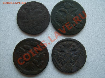 Денга(ошибка буквы)1734 Оценка - SUC53795.JPG
