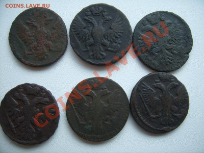 Денга(ошибка буквы)1734 Оценка - SUC53797.JPG