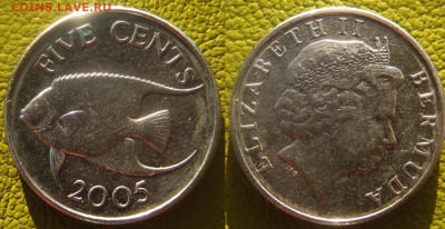БЕРМУДЫ 5 центов 2005 г До 16-11 в 22-00 мск - Бермуды 5 цент