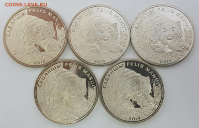 5 ШТУК Казахстан Манул с 200р до 19.11.2019 в 22.00 - манул